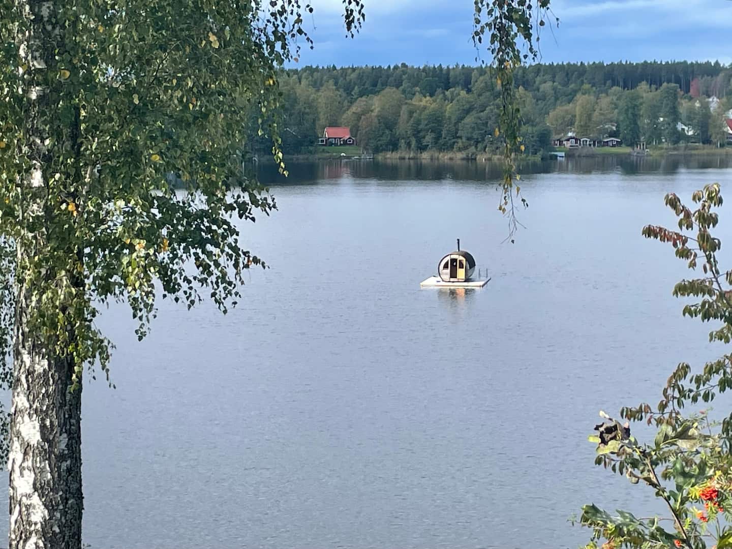 Bastun ute på Borsöknasjön, sedd från stranden