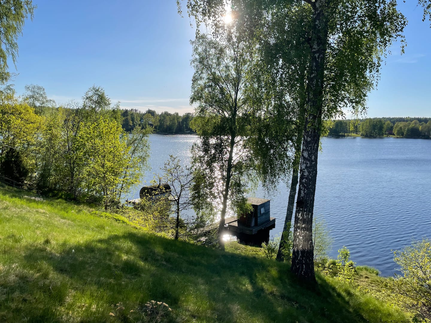 Sommargrön strand och björkar vid Borsöknasjön